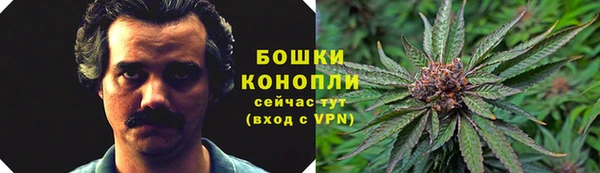 спайс Аркадак