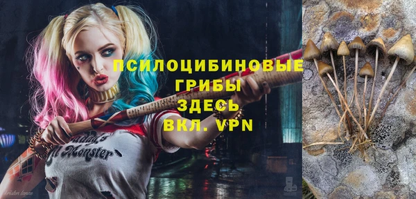 спайс Аркадак