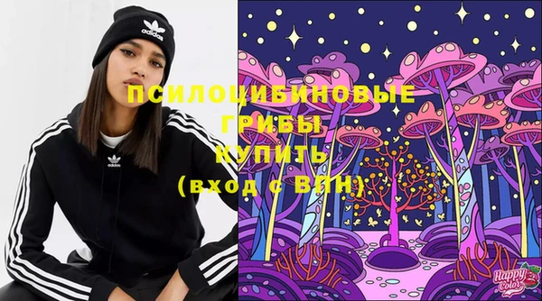 спайс Аркадак