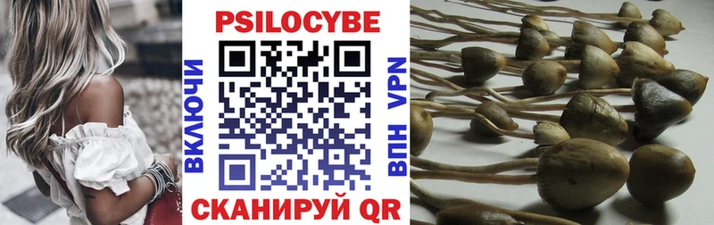 гидра как войти магазин Сокол Псилоцибиновые грибы мухоморы