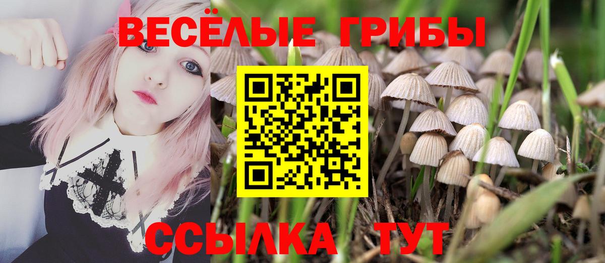 Галлюциногенные грибы GOLDEN TEACHER Сокол