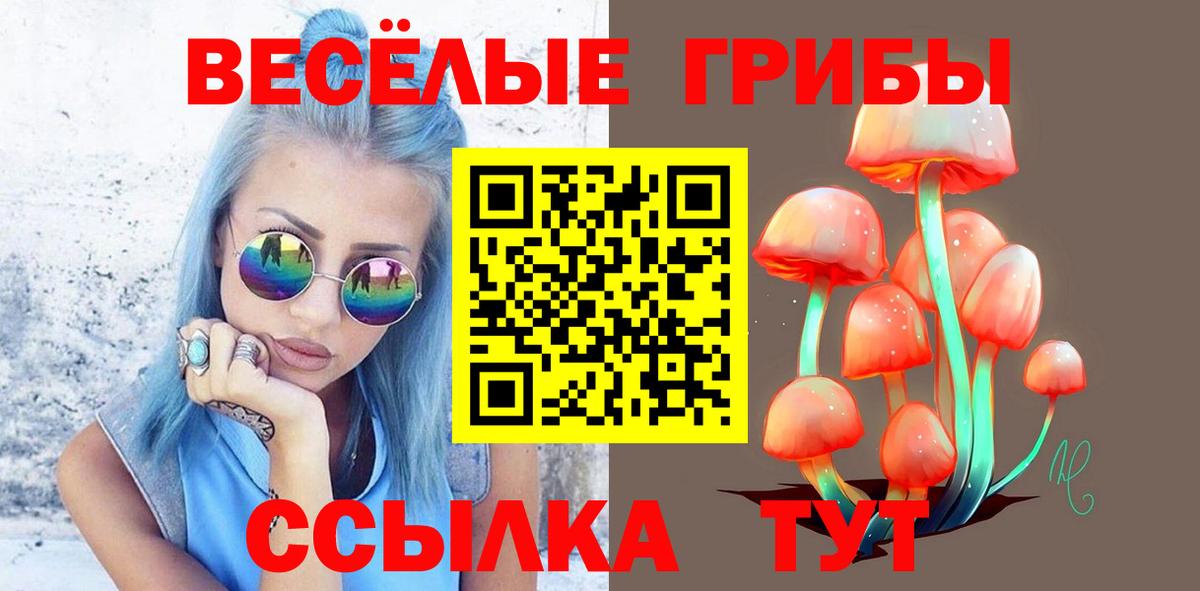 Галлюциногенные грибы Psilocybine cubensis  Вход с VPN  Сокол  Псилоцибиновые грибы MAGIC MUSHROOMS 