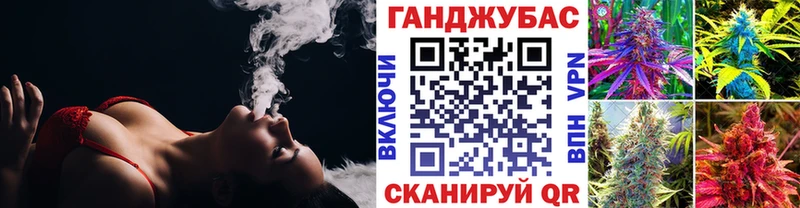 Каннабис планчик  купить  сайты  Сокол 